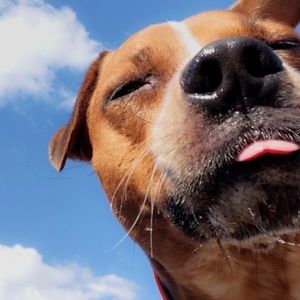 Meet your Posher, Keith